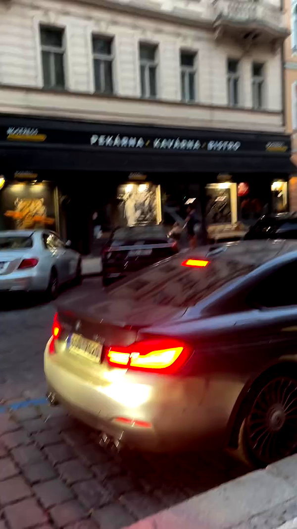 _.shelichka._ archive video preview