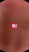 mjmaniajeans Altpins Profile Picture