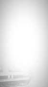 brookeesfallen Altpins Profile Picture
