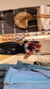 777pb_ Altpins Profile Picture