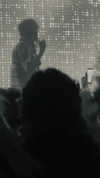 veildose Altpins Profile Picture