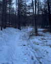 indra0102_ Altpins Profile Picture