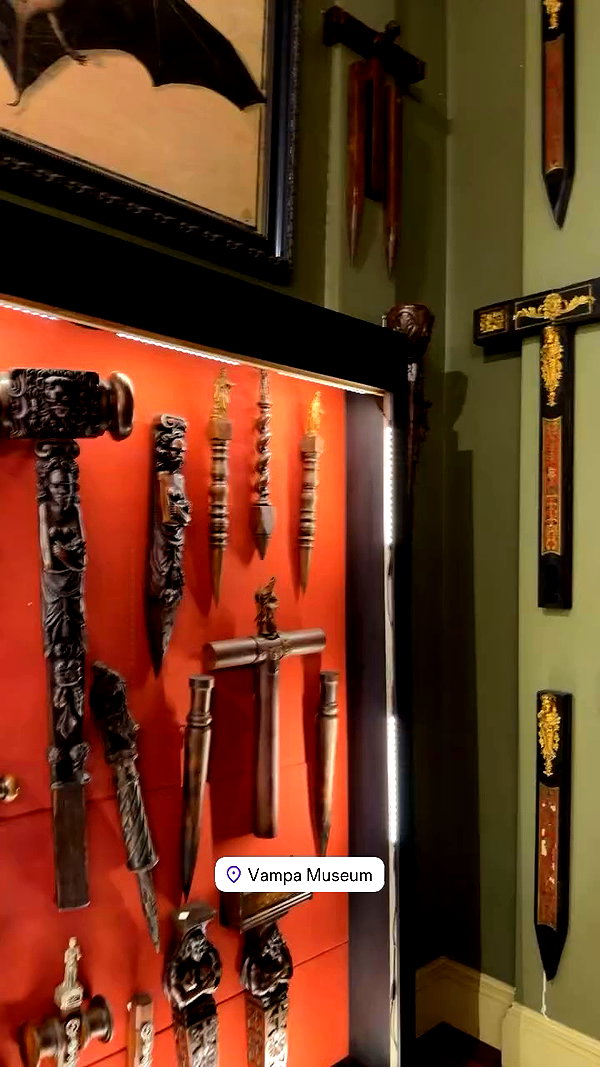 magg0tfleshh archive video preview