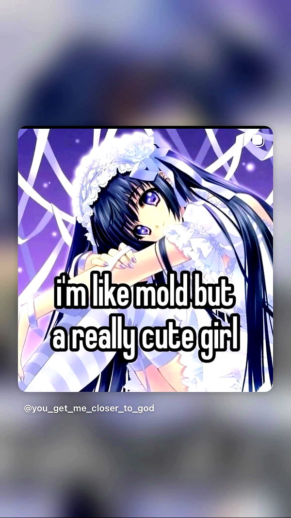 feelbetterinmysweater archive video preview