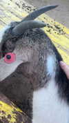 feelbetterinmysweater Altpins Profile Picture