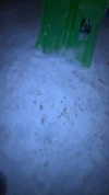 dwpolin Altpins Profile Picture