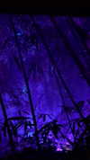 ann.shellll Altpins Profile Picture