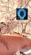 chris_fucking_wild Altpins Profile Picture
