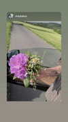annaemiliaz Altpins Profile Picture