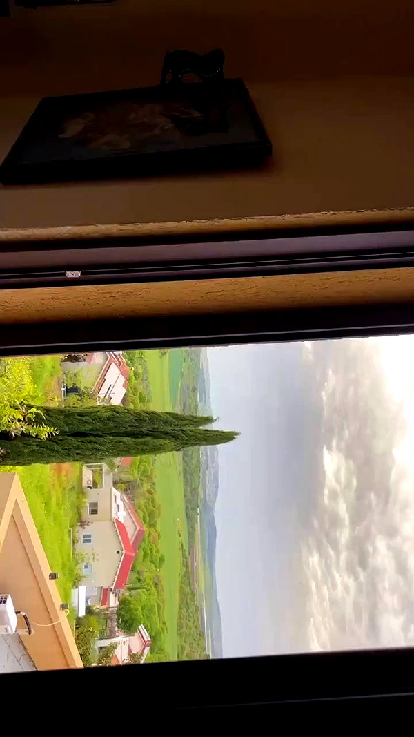 libby_reut archive video preview