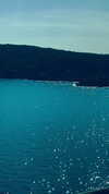 annabottoo Altpins Profile Picture