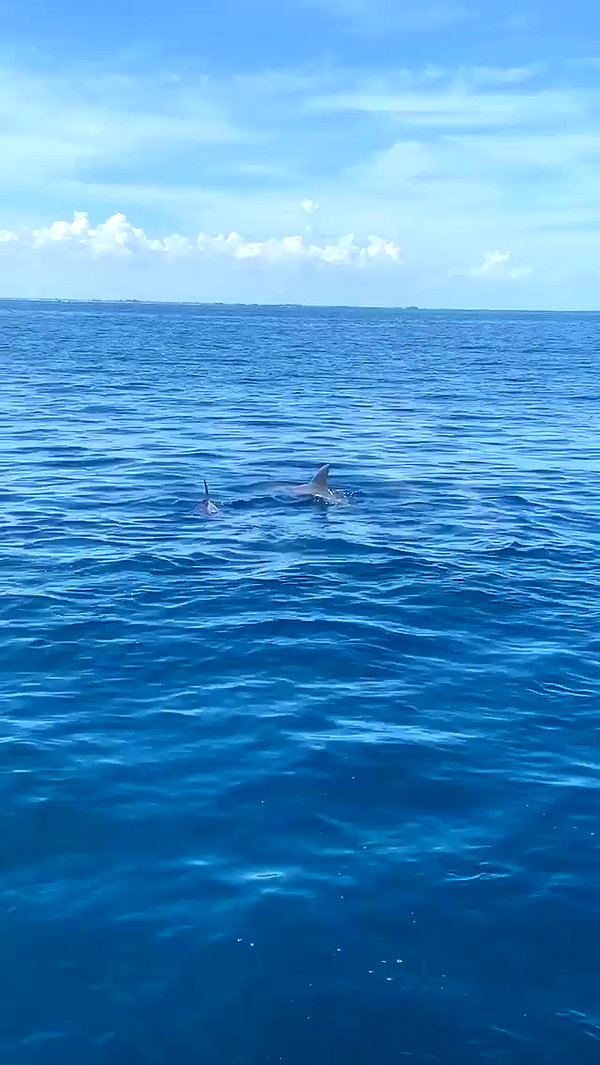 taylorballarddd archive video preview