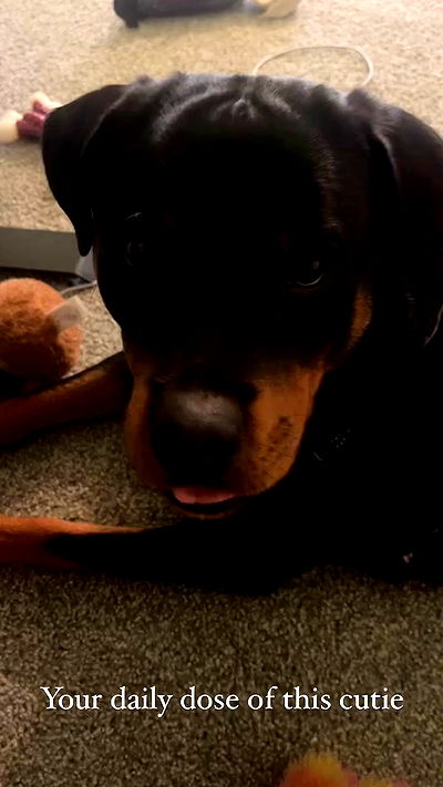 cyberbunniex cyberbunniex archive video