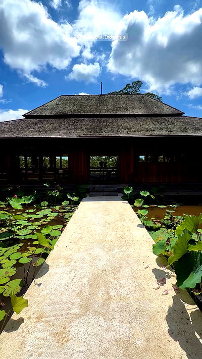 taylor.creeden taylor.creeden archive video