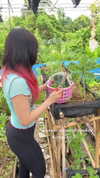 baipobam Altpins Profile Picture