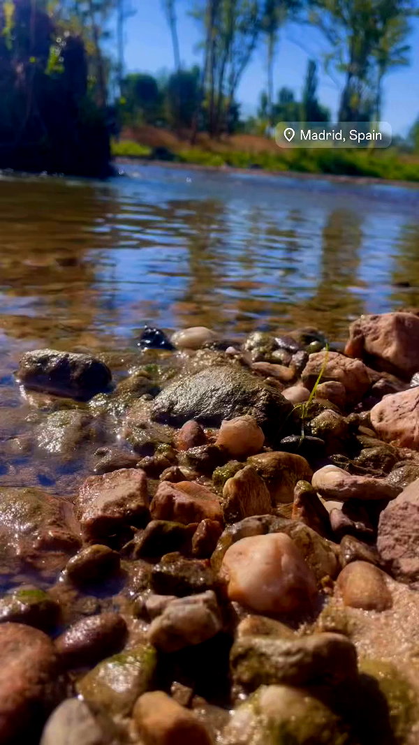 shaharo__._ archive video preview