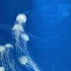 hh.yyy_ Altpins Profile Picture