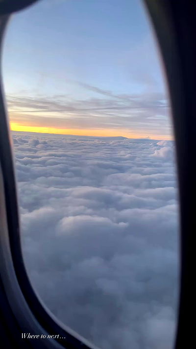 taylor.creeden taylor.creeden archive video