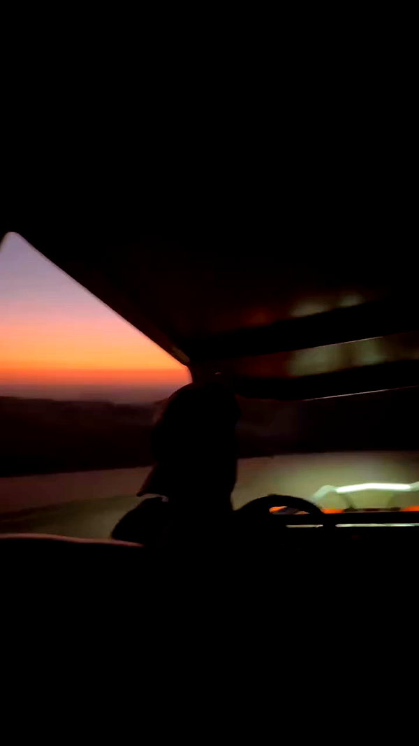 michalcohen___ archive video preview