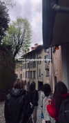 annabottoo Altpins Profile Picture