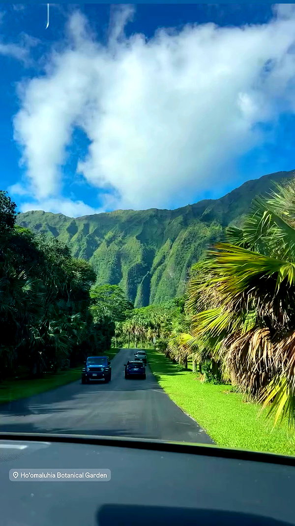 ellamwatts_ archive video preview