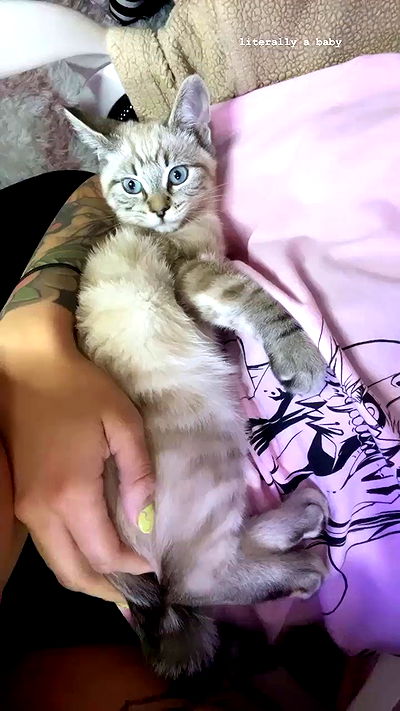 suikomuu suikomuu archive video