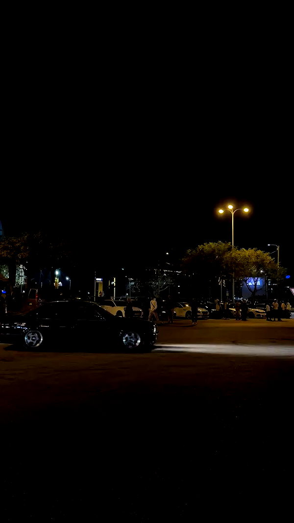 simp_for_cats_ archive video preview
