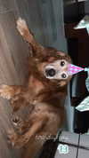 analuvillarreal Altpins Profile Picture