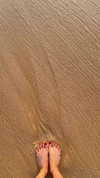 275.cn Altpins Profile Picture