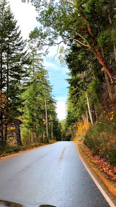 taylor.creeden taylor.creeden archive video