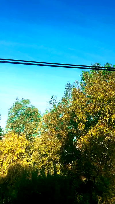 natalllluli natalllluli archive video