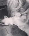 sashapieterse Altpins Profile Picture