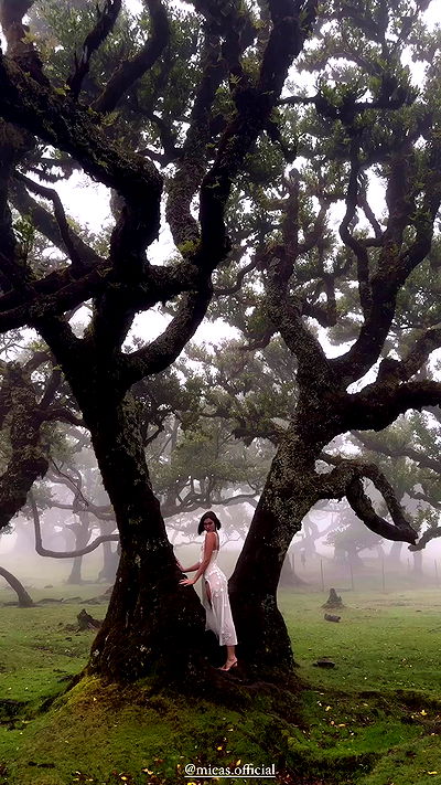 taylor.creeden taylor.creeden archive video