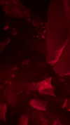 ek3b.chapman Altpins Profile Picture