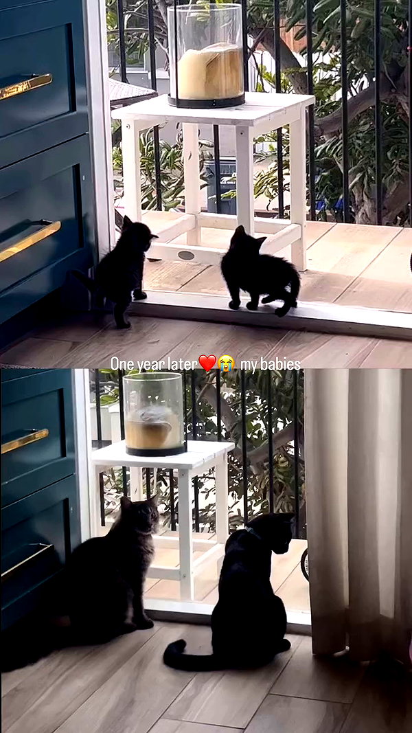 kaylasimmmons archive video preview