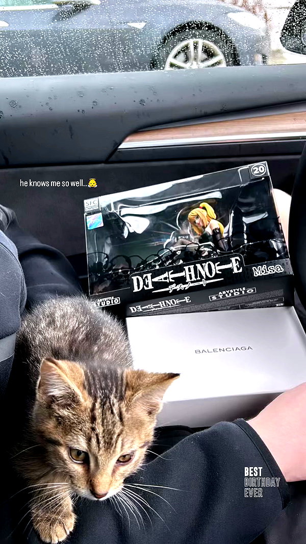 _paige.am archive video preview