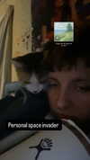 si11yc0rpse Altpins Profile Picture