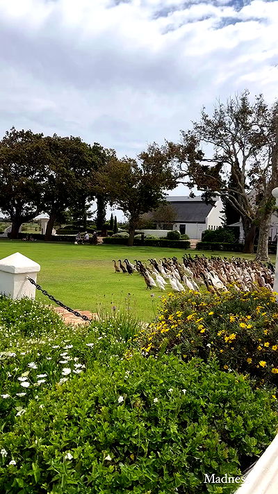 taylor.creeden taylor.creeden archive video