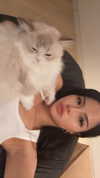 minaxash Altpins Profile Picture