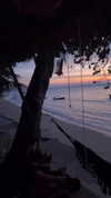 tirtza_cohen Altpins Profile Picture