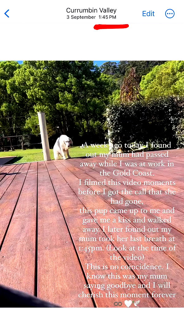 caseyjamess_ archive video preview
