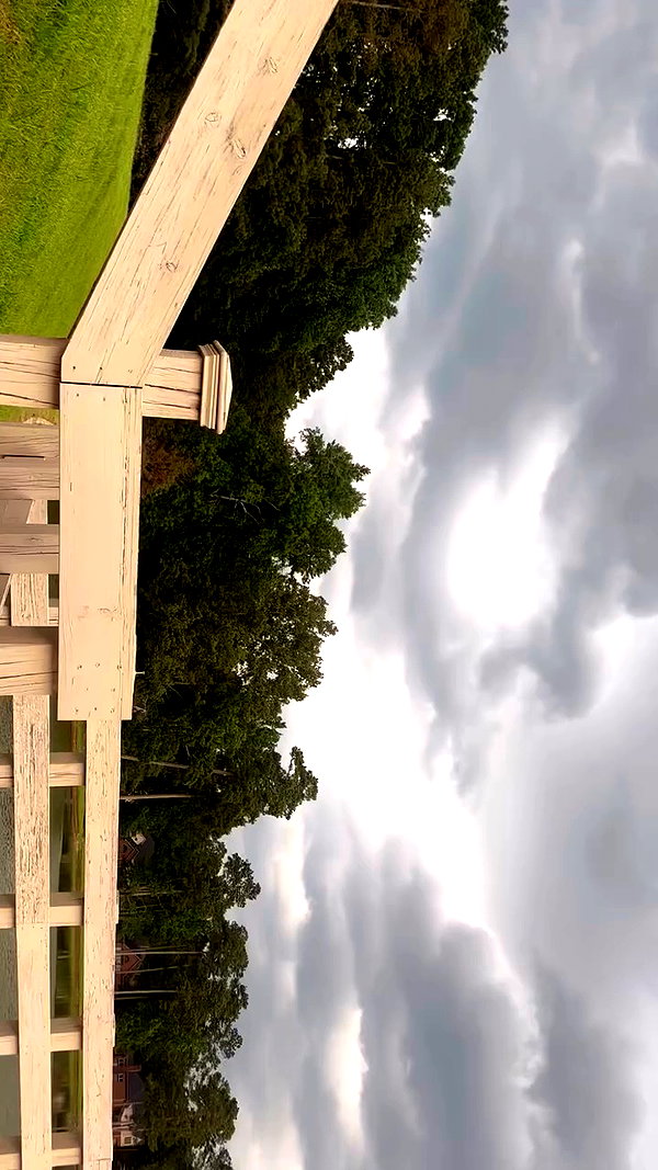 elizabethcampbelljones archive video preview