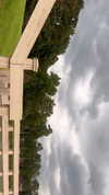 elizabethcampbelljones Altpins Profile Picture