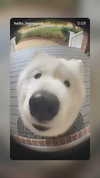 emily_new2 Altpins Profile Picture