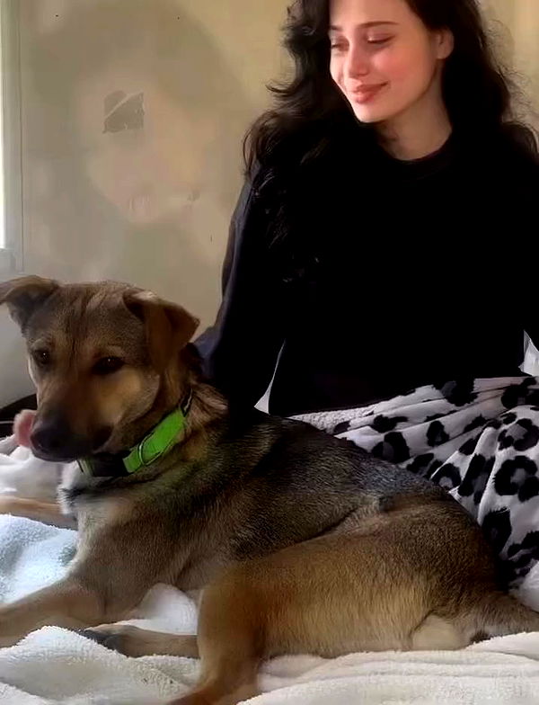 liashaked archive video preview