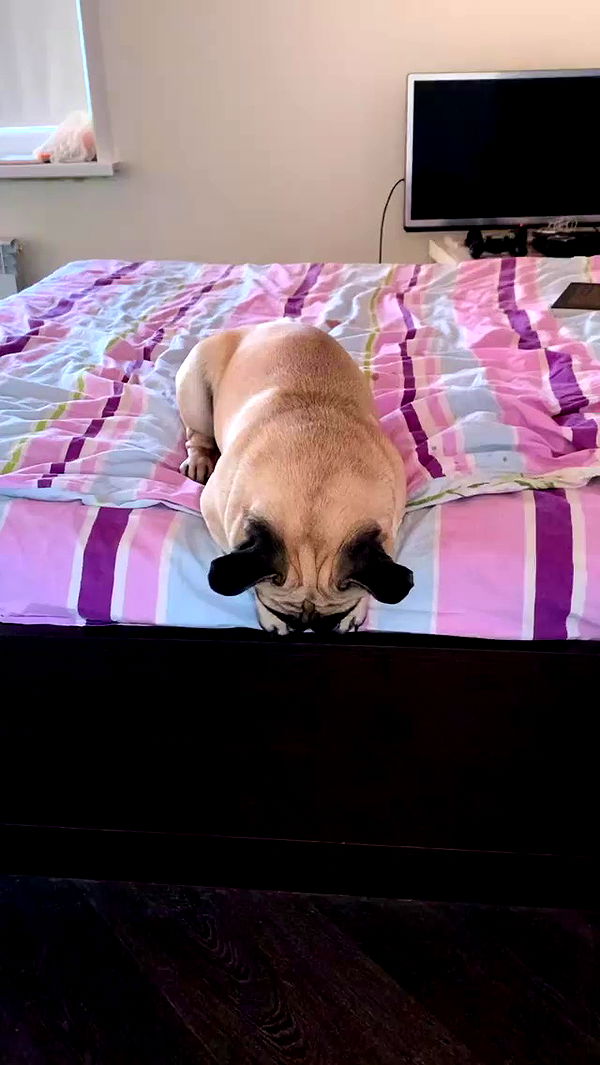 nyityam archive video preview