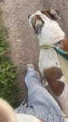 yaarat11 Altpins Profile Picture