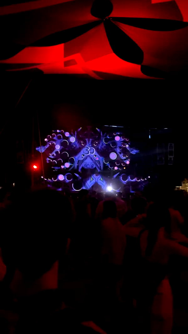 _.shelichka._ archive video preview