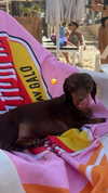 maya.keyy Altpins Profile Picture