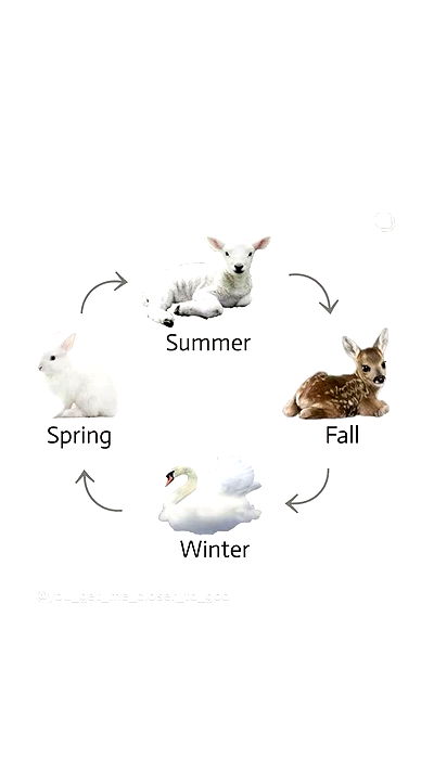 feelbetterinmysweater feelbetterinmysweater archive video